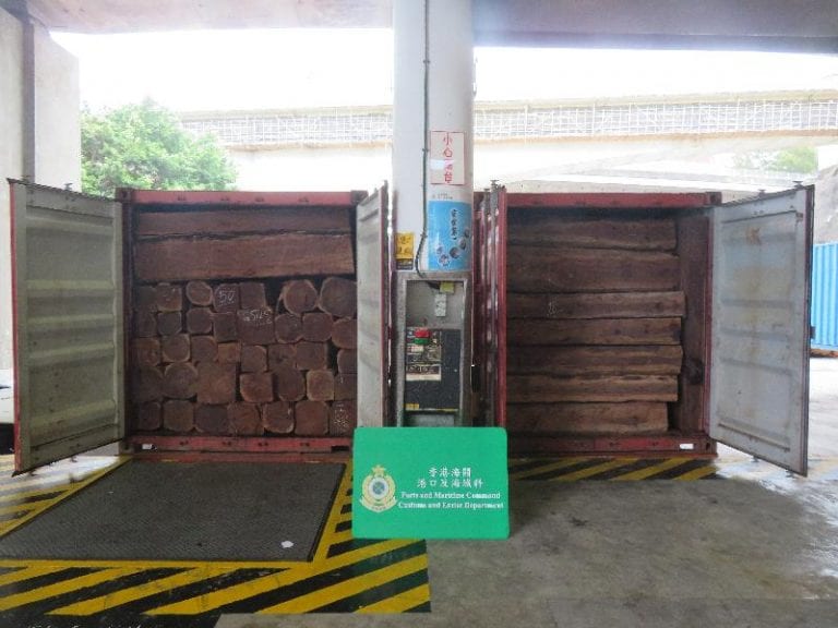 211 tonnes of rare and endangered timber were seized in Hong Kong in early May. Photo: the Hong Kong Special Administrative Region Customs and Excise Department.