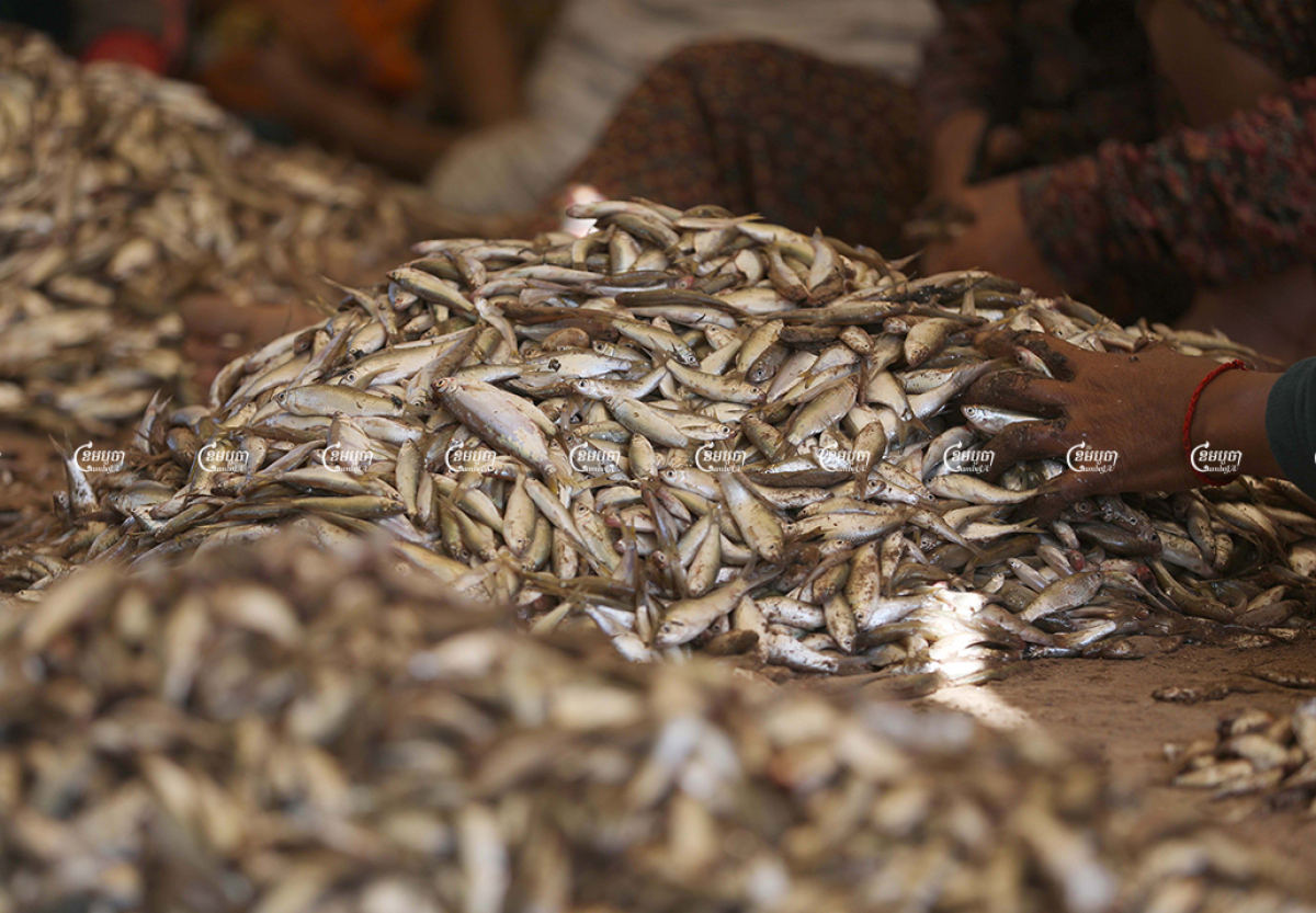 Customers buy fish to make Prahok in Kandal province, December 14, 2021. CamboJA/ Pring Samrang