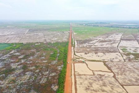 An image showing the clearing of flooded forests along the Tonle Sap Lake posted on the Ministry of Land Management's Facebook page.