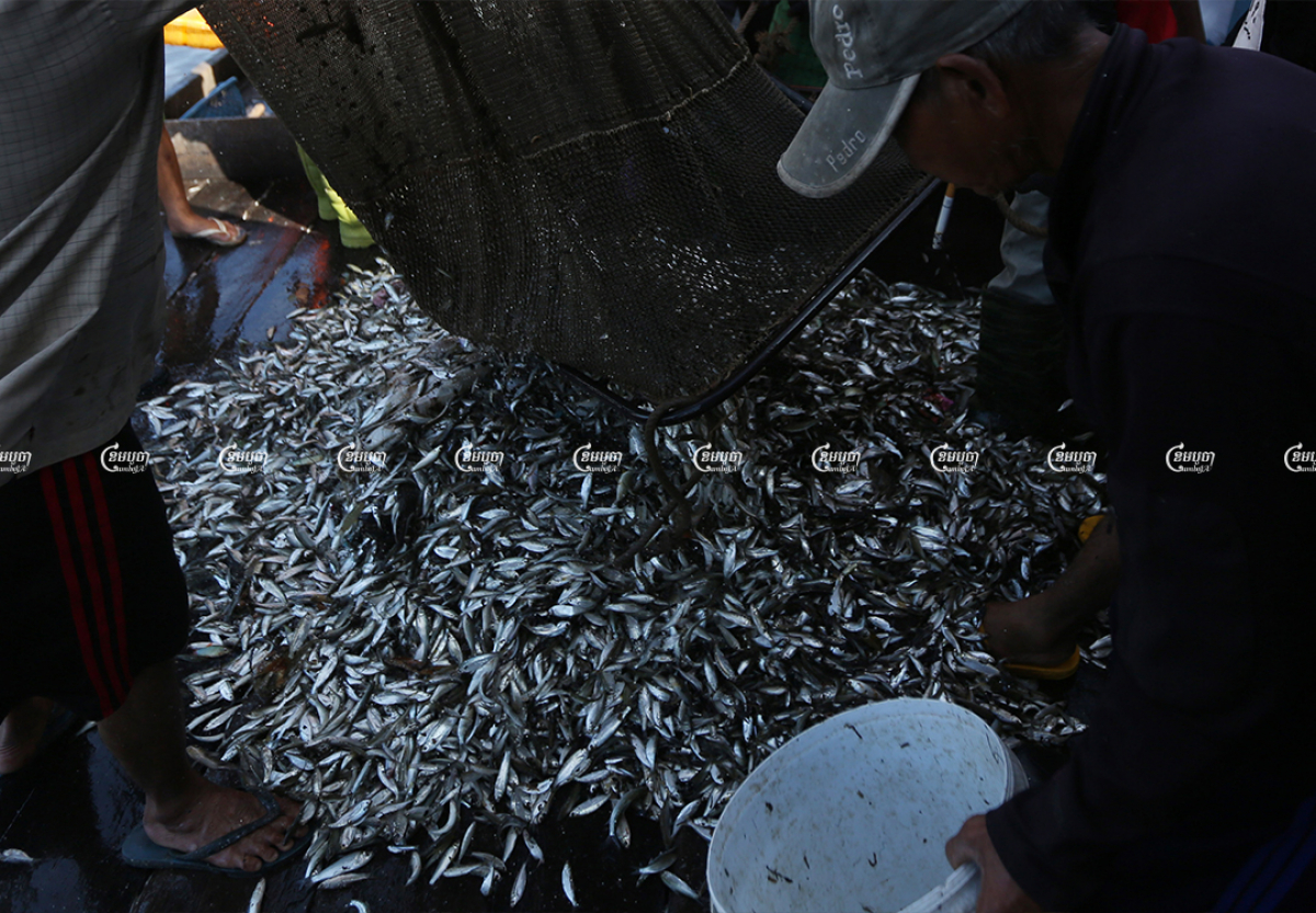 Vendors sell fish to make Prahok in Kandal province, December 14, 2021. CamboJA/ Pring Samrang