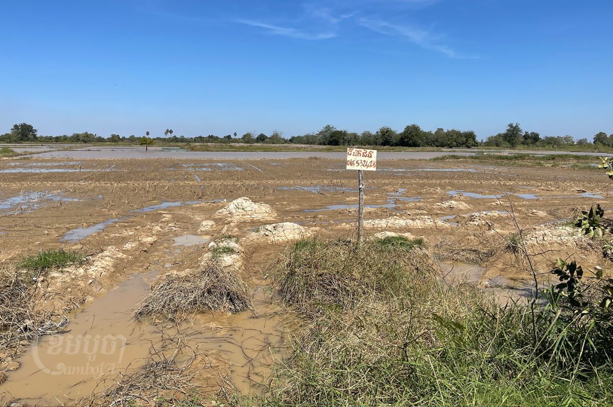 A Kampong Talong villager in Kandal province has placed a sign here reading “Private land” with a phone number, but this farmland has already been taken for the new airport development. Photo taken on January 4, 2022. CamboJA/ Sorn Sarath