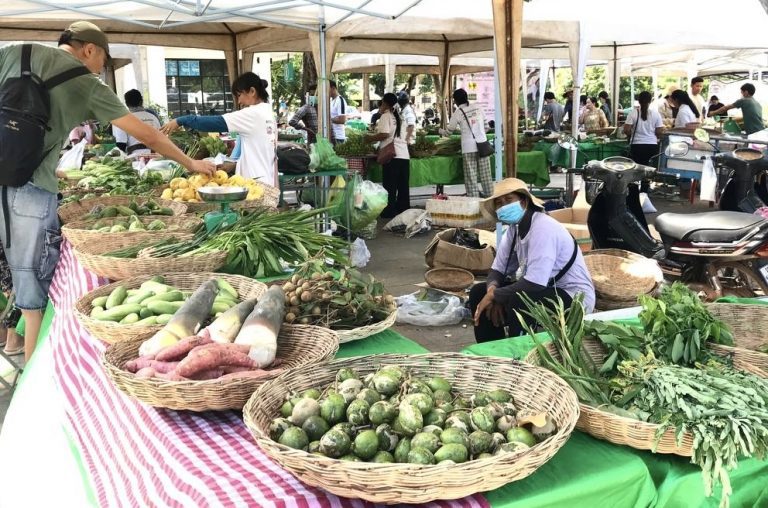 Vendors from different agricultural communities of Siem Reap province sell organic vegetables and other products at Siem Reap weekend market on July 30, 2022. Photo supplied.