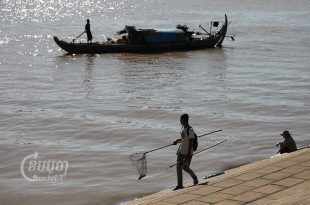 A man collects fish at the Tonle Sap river bank in Phnom Penh, September 9, 2022. CamboJA/ Pring Samrang