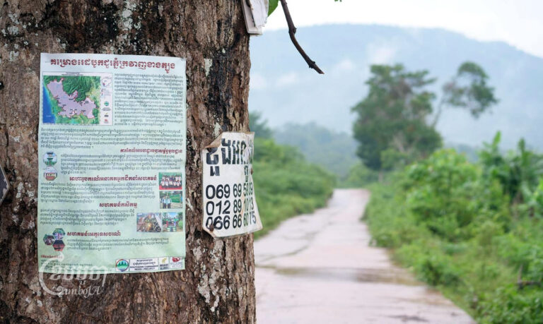 A sign providing information on the Southern Cardamom REDD+ project in Koh Kong province. (CamboJA/ Jack Brook)