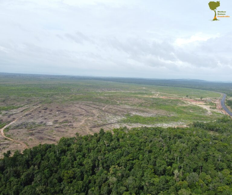 Part of Botum Sakor National Park cleared by the Chinese firm Union Development Group and Royal Group in a Facebook post from the activist group Mother Nature Cambodia on July 19, 2023. (Mother Nature Cambodia Facebook)