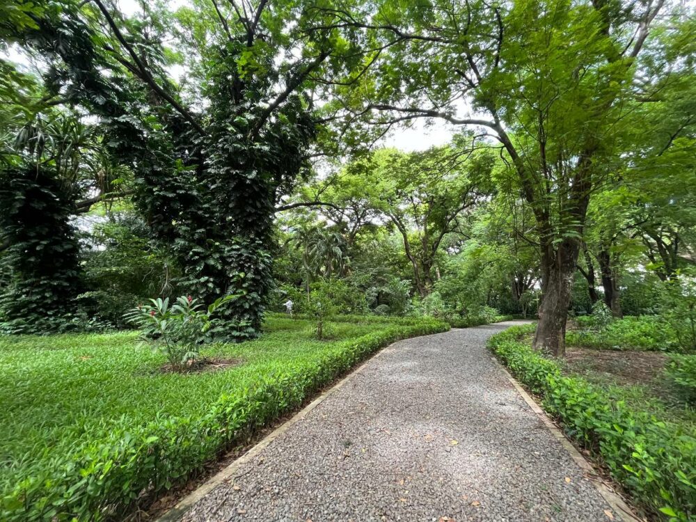 A trail running through the French Embassy Park. (CamboJA/Josephine Grace Sta Ana Baliling)