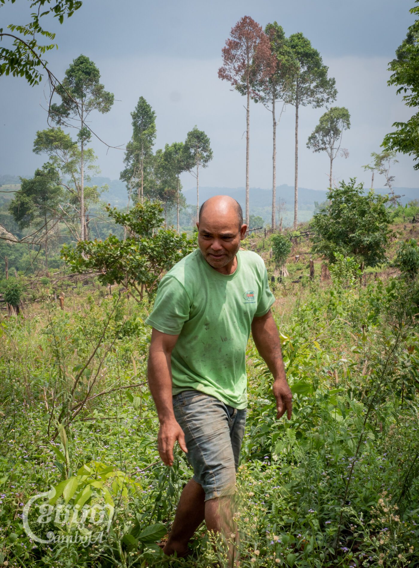 Pu Lu resident Nges Nam at his farm in Bousra commune, where he is planting cashews and other crops separate from his rubber farm inside Socfin’s concession. (CamboJA/Jack Brook)