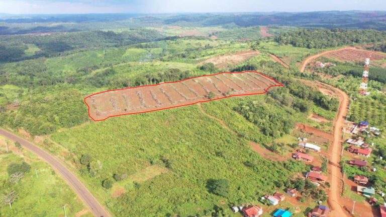 An aerial view of Radang Mountain following the clearance of the land by the buyers in 2020. Photo: Supplied