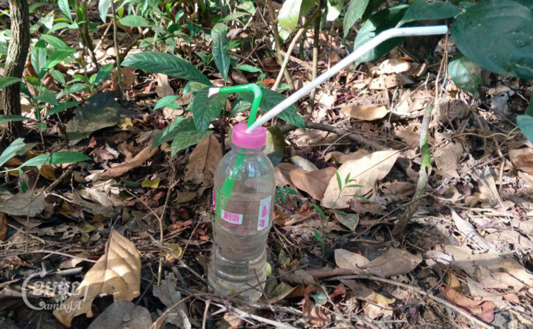 Used plastic bottles discarded by drug users in a jungle in Pak Touch village, Pak Nhai commune, O’Yadav district, Ratanakiri province on December 12, 2023. (CamboJa/ An Vichet)
