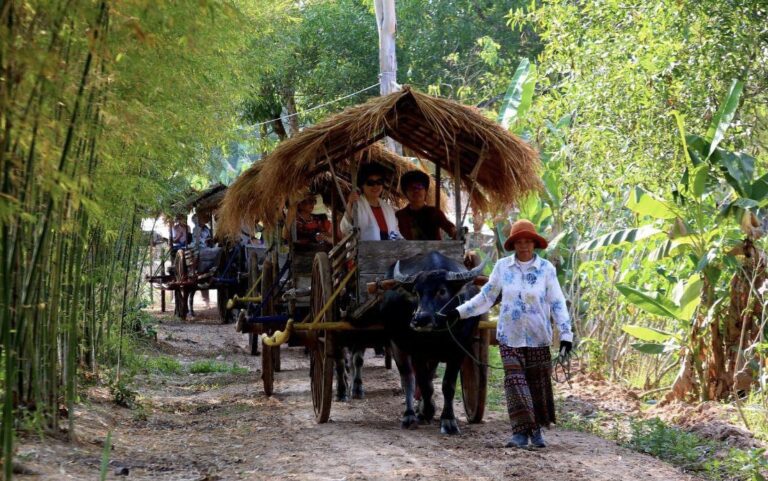 The buffalo cart community residents transported foreign tourists around Chrey village, in Teuk Vil commune, Puok district, Siem Reap province, February 2024. (Siem Reap Provincial Administration’s Facebook)