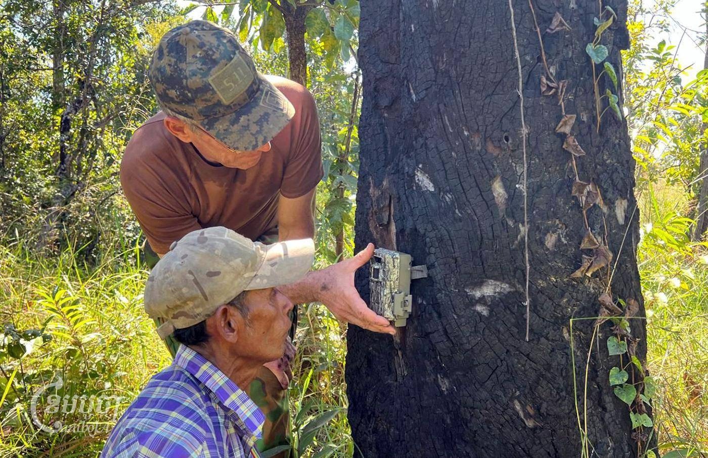 Ben Davis and a Cambodian community ranger crouch next to a tree while securing a camera to its trunk.