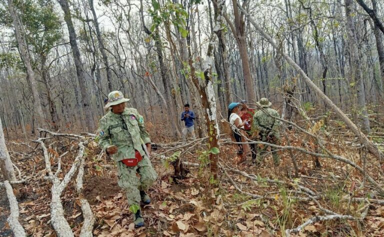 Environmental rangers and villagers patrol community forests in Romnea commune. (Supplied)