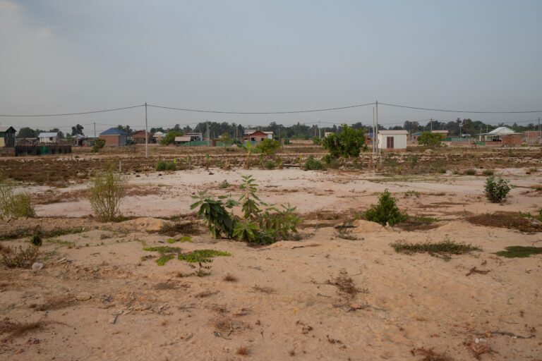 Shrubbery in a Run Ta Ek Field. Residents say the site’s lack of trees has contributed to excess heat, May 1, 2024 (Fiona Kelliher)